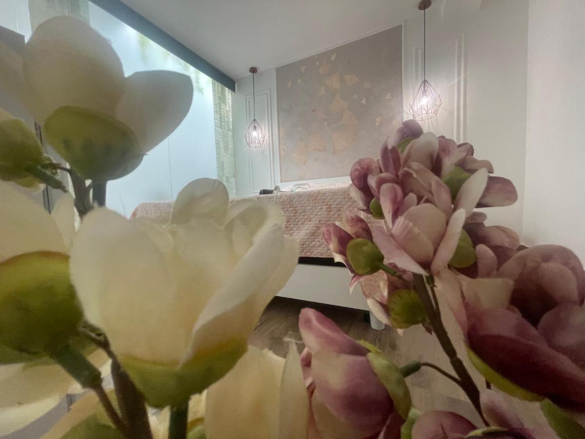 테라시니 Amantea Monument B&B 외부 사진