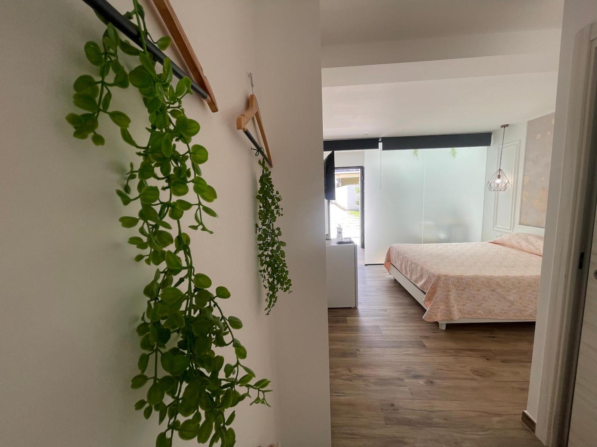 테라시니 Amantea Monument B&B 외부 사진